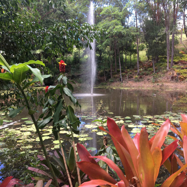 Noosa Irrigation 05